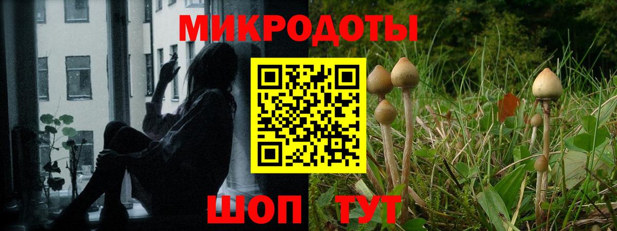 Калуга  Псилоцибиновые грибы MAGIC MUSHROOMS  Псилоцибиновые грибы MAGIC MUSHROOMS  Вход с VPN 